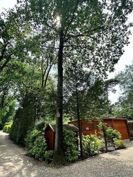Houten Chalet Op 5 Sterren Park Met Zwembad Ermelo Buitenkant foto